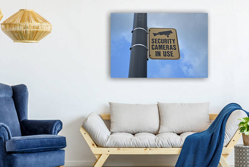 Security Cameras in Use by Kelly Marie Johnson