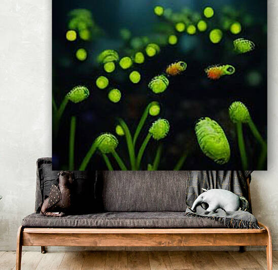 plant by Kelly Marie Johnson