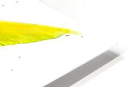 BlueYellow HD Metal print