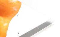 OrangeFishs HD Metal print