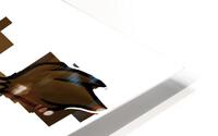 Bitox HD Metal print