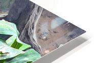 BirdOwl HD Metal print
