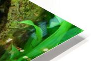 Axoltl HD Metal print