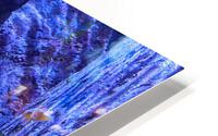 AquariumFishTank2 HD Metal print