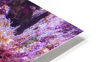 AquariumFishTank HD Metal print