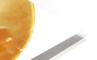 Cheese HD Metal print
