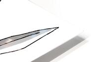 Curswordsman HD Metal print