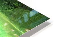 Crocodile HD Metal print