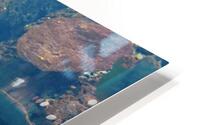 GreenFish HD Metal print