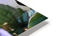 GreenLeaves2 HD Metal print