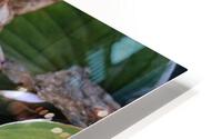 GreenLeaves HD Metal print