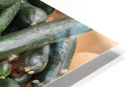 Cucumber HD Metal print