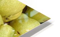 Pears HD Metal print
