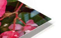 PinkFlowers HD Metal print