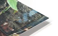 Duck HD Metal print