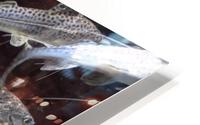 Colorful Fish HD Metal print