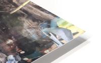 Duck HD Metal print