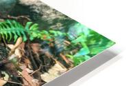Snake HD Metal print