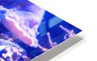 WhiteFish HD Metal print