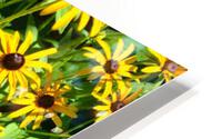 Yellow Flowers HD Metal print
