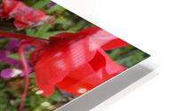 Red Flowers HD Metal print