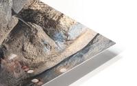 Penguin HD Metal print