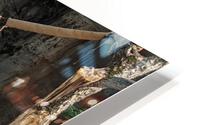 Zoo HD Metal print