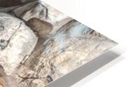 Zoo HD Metal print