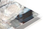 Zoo HD Metal print