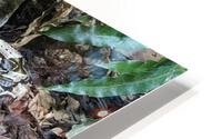 Snake HD Metal print