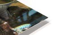 Colorful Fish HD Metal print