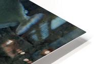 Colorful Fish HD Metal print