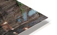 Zebra HD Metal print