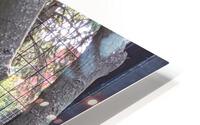 Bird HD Metal print