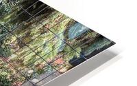 Zoo HD Metal print