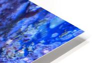 Blue Fish HD Metal print