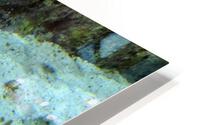 Yellow Eel HD Metal print