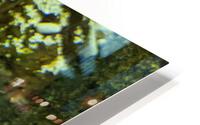 Yellow Eel HD Metal print