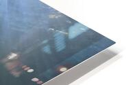 Shark HD Metal print