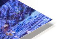 Aquarium HD Metal print
