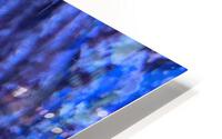 Blue Fish HD Metal print