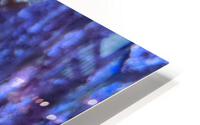 Blue Fish HD Metal print