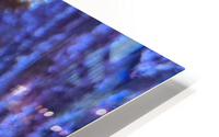 Blue Fish HD Metal print