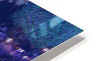 Colorful Fish HD Metal print