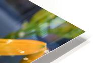 Yellow Flower HD Metal print
