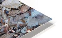 Soil Products HD Metal print