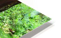 JK20 HD Metal print