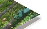 JK06 HD Metal print