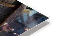 DSC 0115 HD Metal print