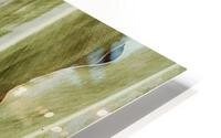 leaves HD Metal print